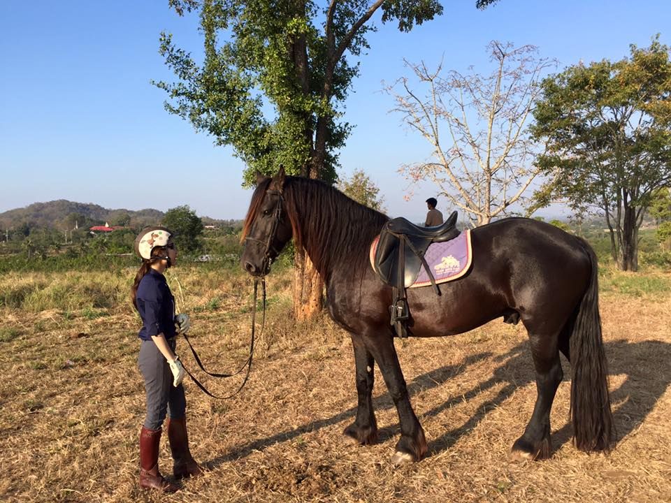 HorseRiding Trip from Bangkok with an Expert at Korat TakeMeTour